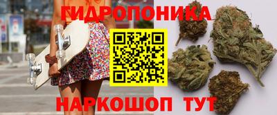 СК Коммунар